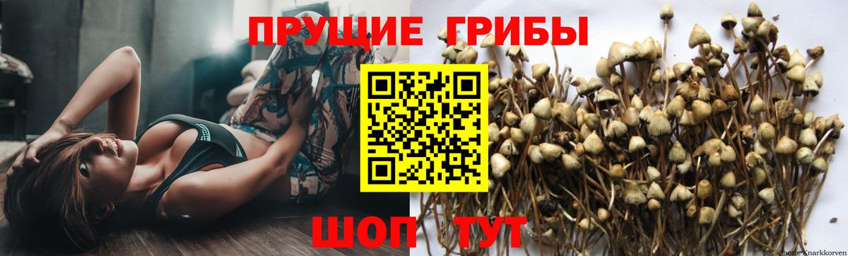 Метадон Северск