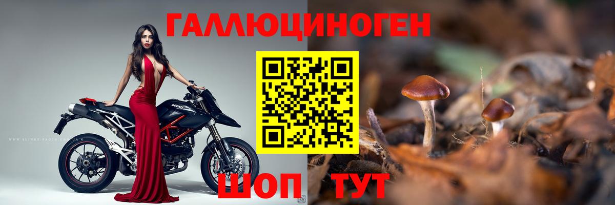 Галлюциногенные грибы прущие грибы  Вход с VPN  Псилоцибиновые грибы Psilocybine cubensis  Северск 